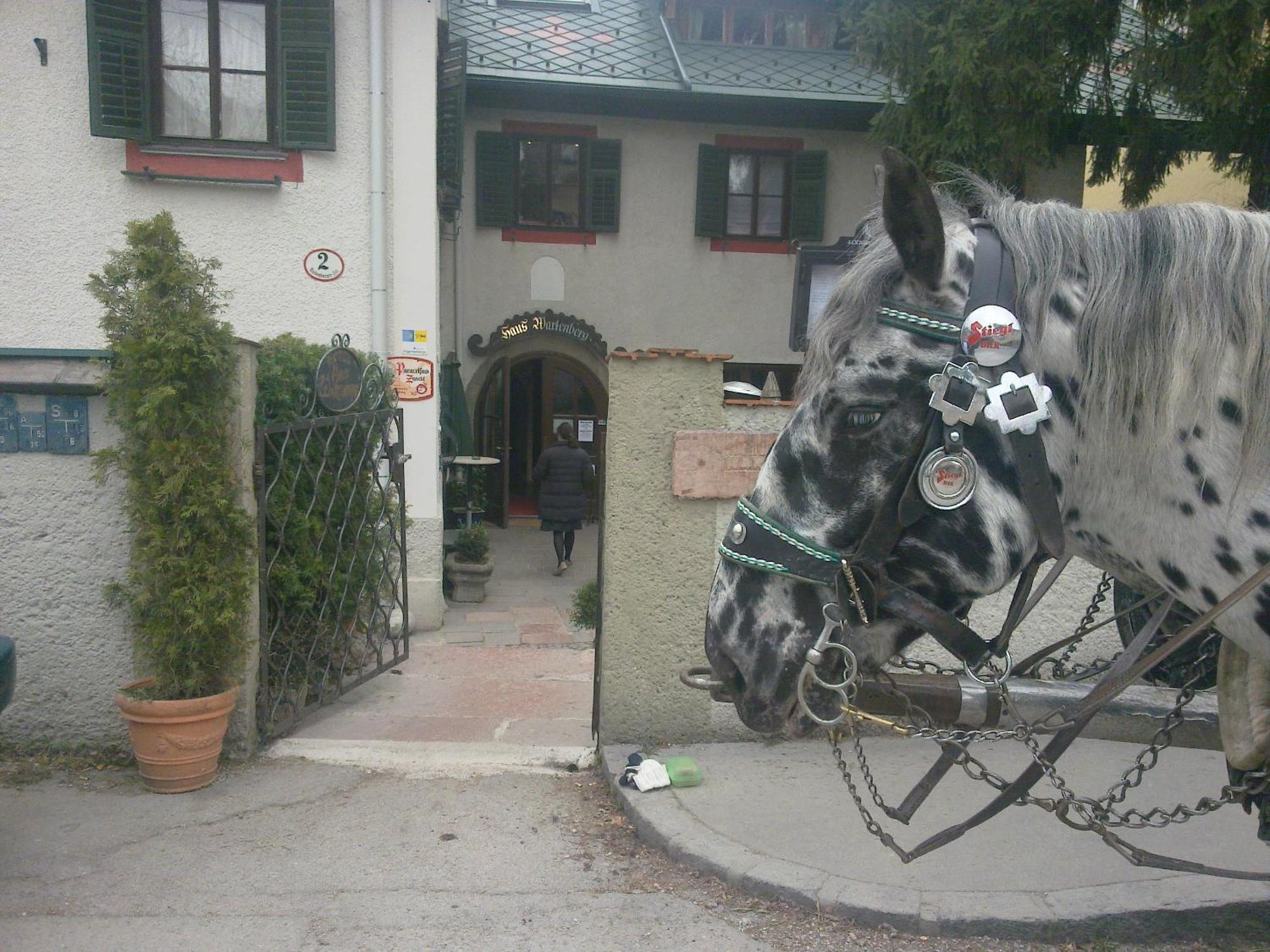 Haus Wartenberg Hotel Salzburg Exterior foto